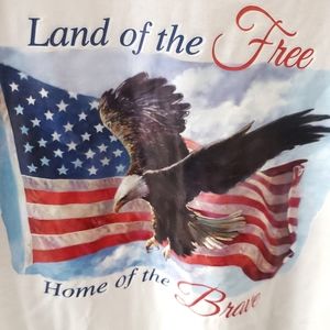 Mens Patriotic T-Shirt L Tee America Flag Stars Stripes Eagle Freedom New